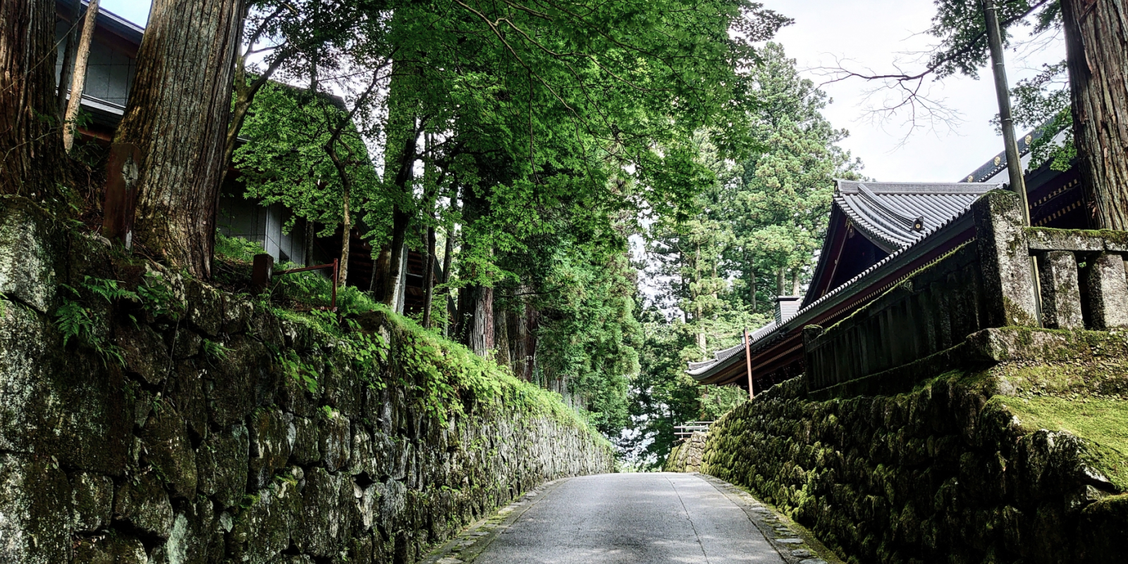 風景